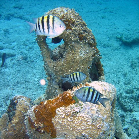 IMG_9094 IMG_9094