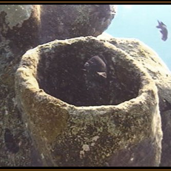 film_lgvid4 film_lgvid4