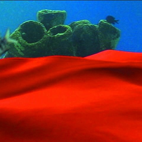 fishbehindfabrickanaotofuji fishbehindfabrickanaotofuji
