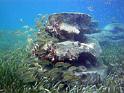 SacBajoIslaMujeres