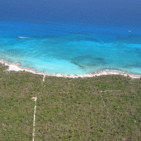 img_4553 img_4553