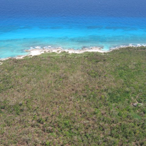 img_4556 img_4556