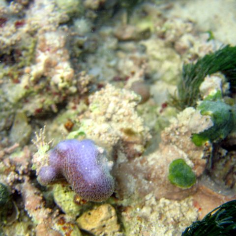 img_4586 img_4586