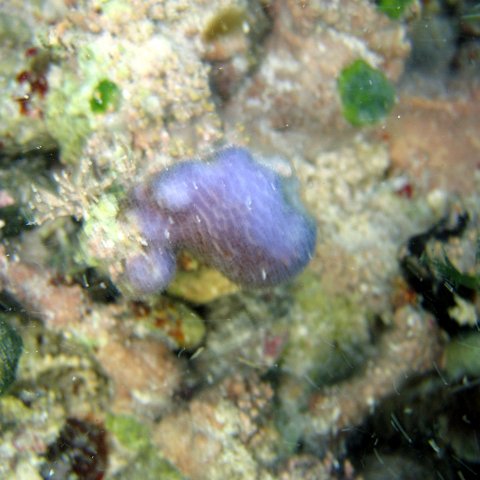 img_4587 img_4587