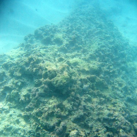 img_4590 img_4590