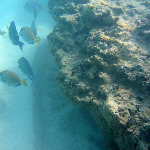 img_4593 img_4593