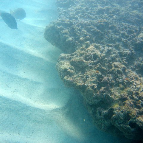 img_4595 img_4595