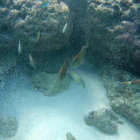 img_4596 img_4596