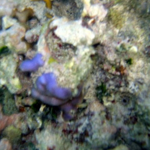 img_4601 img_4601