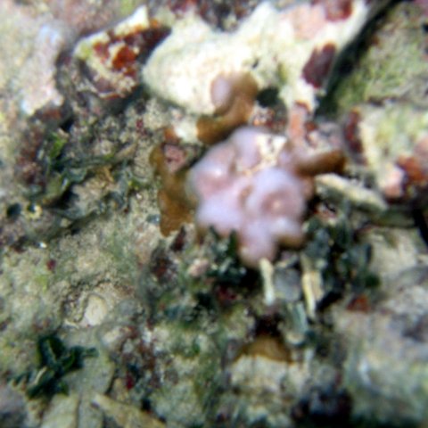 img_4602 img_4602