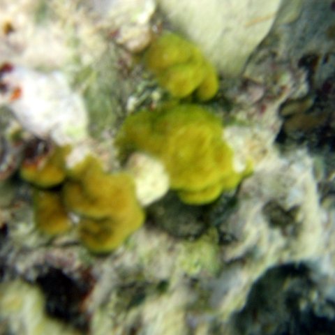 img_4604 img_4604