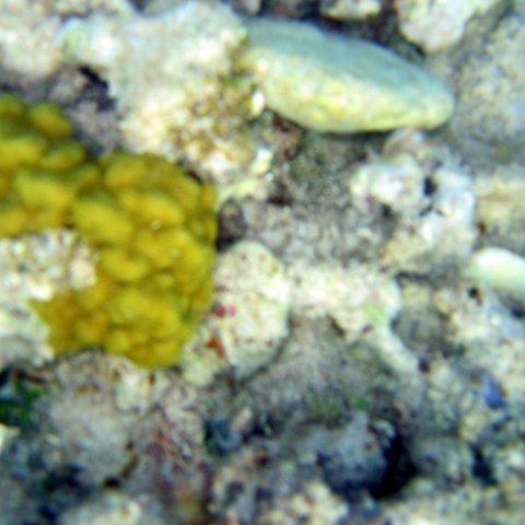 img_4605 img_4605