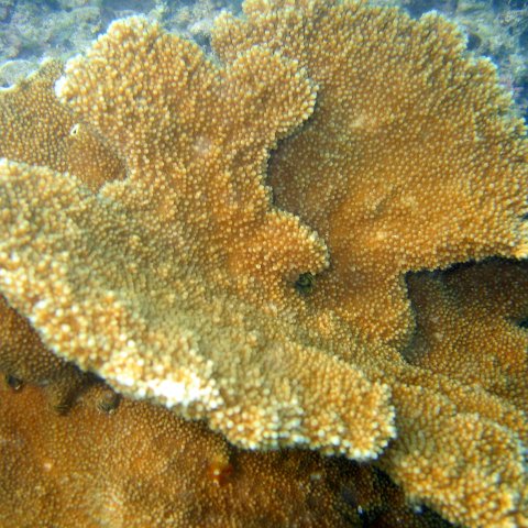img_4608 img_4608