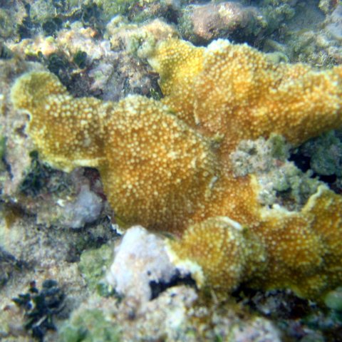 img_4609 img_4609