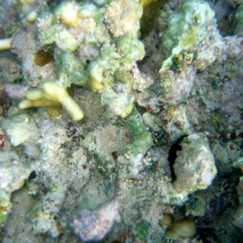 img_4610 img_4610
