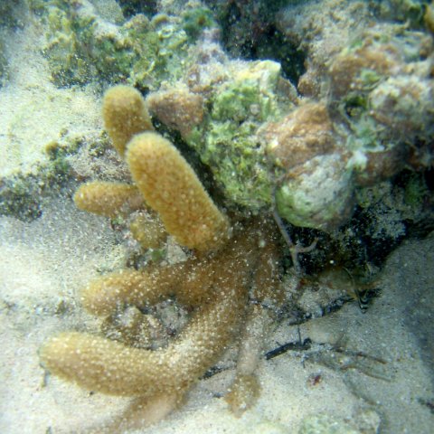 img_4611 img_4611