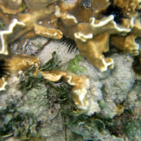 img_4612 img_4612