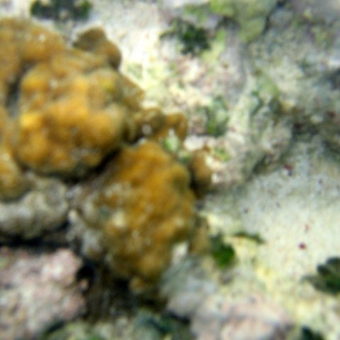 img_4613 img_4613