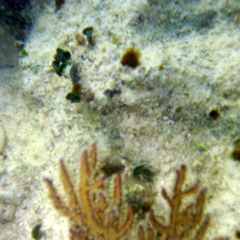 img_4614 img_4614