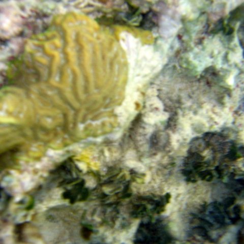 img_4615 img_4615
