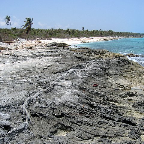 img_4625 img_4625