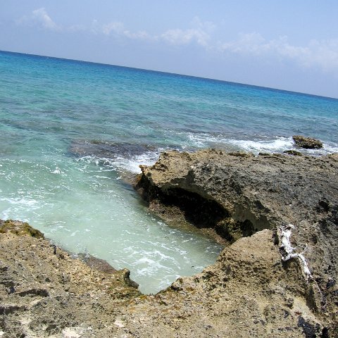 img_4626 img_4626