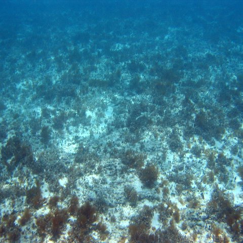 img_4627 img_4627