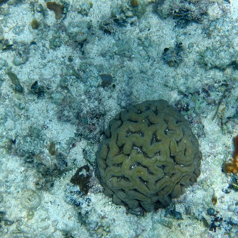 img_4628 img_4628