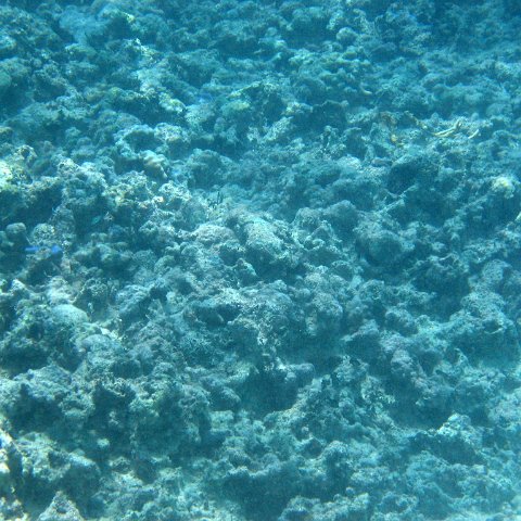 img_4629 img_4629