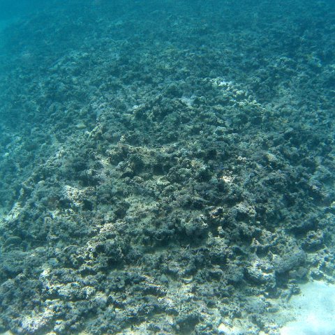 img_4630 img_4630