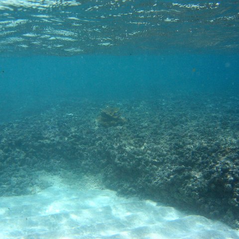 img_4631 img_4631