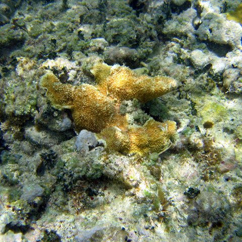 img_4633 img_4633