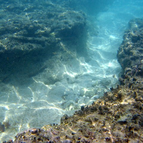 img_4637 img_4637