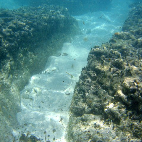 img_4638 img_4638