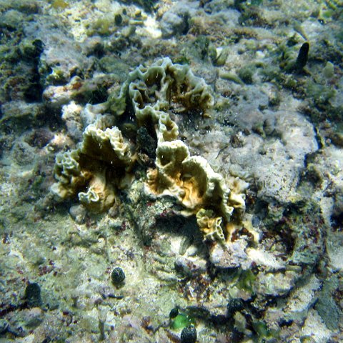 img_4639 img_4639