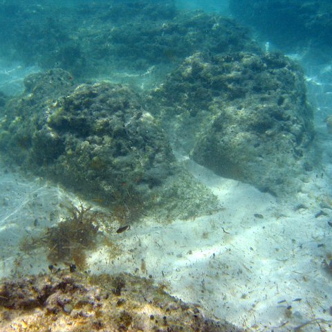 img_4641 img_4641