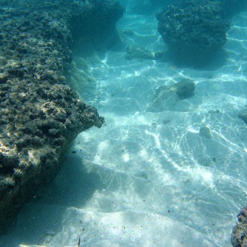 img_4642 img_4642