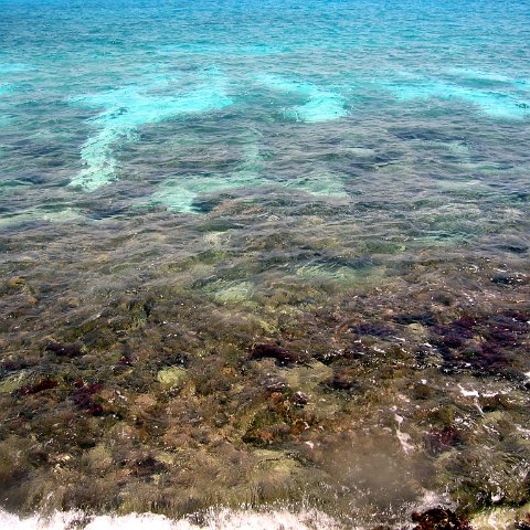img_4645 img_4645