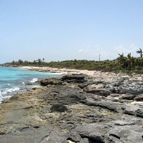 img_4646 img_4646