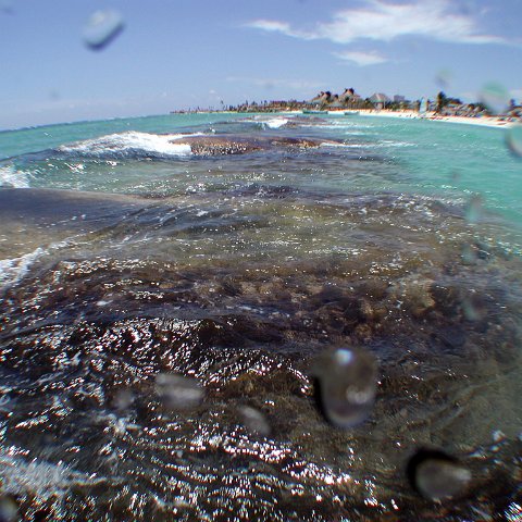 p9033378 p9033378