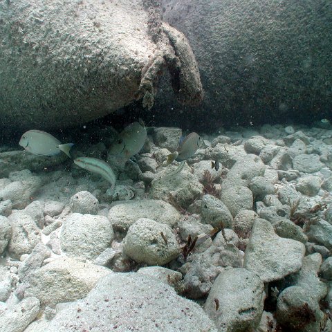 p9033379 p9033379