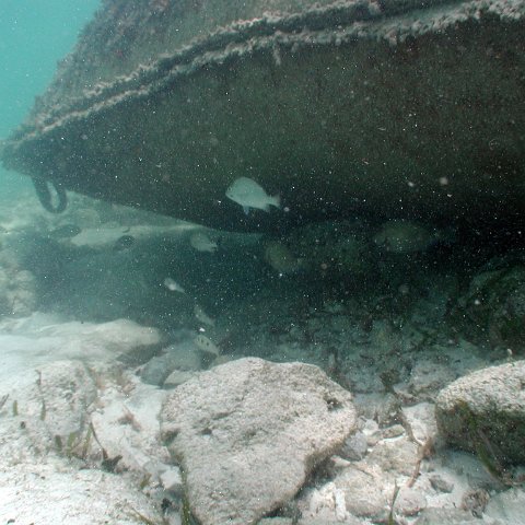 p9033381 p9033381