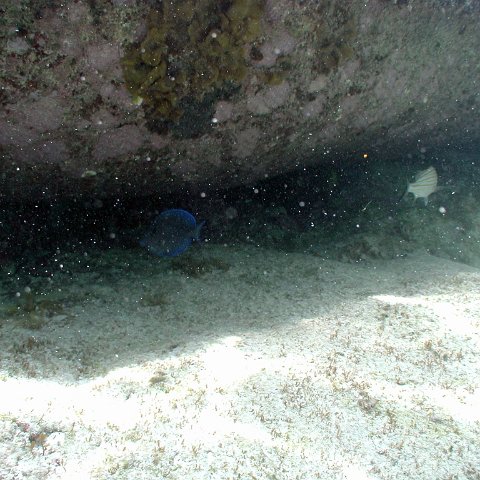 p9033383 p9033383