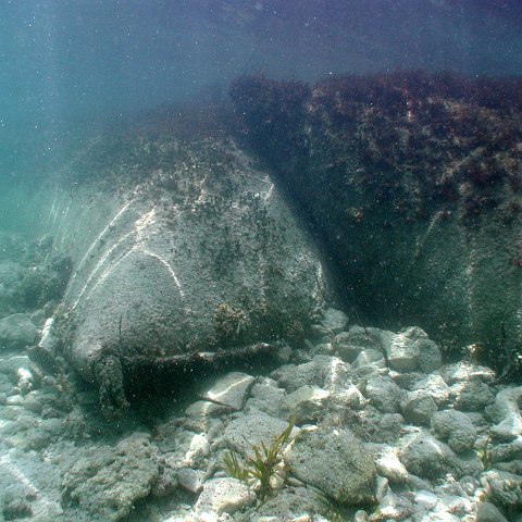 p9033384 p9033384