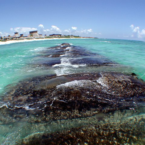p9033385 p9033385