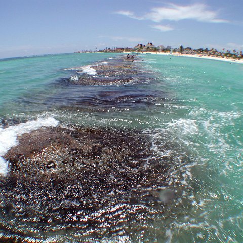 p9033386 p9033386