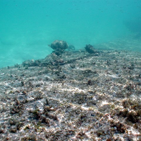 p9033392 p9033392