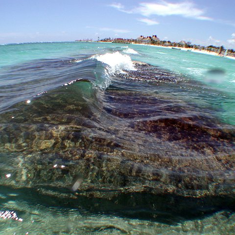 p9033393 p9033393