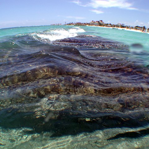 p9033394 p9033394
