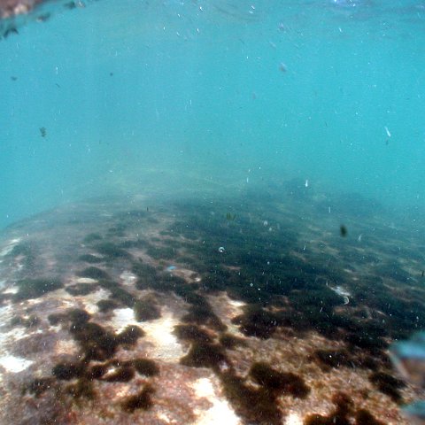 p9033396 p9033396